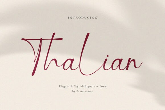 Thalian Typeface Review: A Script Font for Elegant Brand Identity