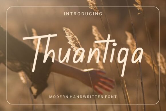 Thuantiqa Review: A Designer’s Perspective on Script Amp